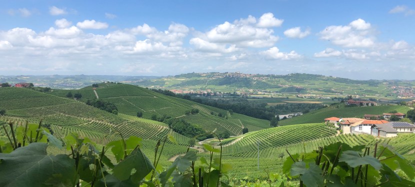 La Dolce Vita&nbsp;Blog