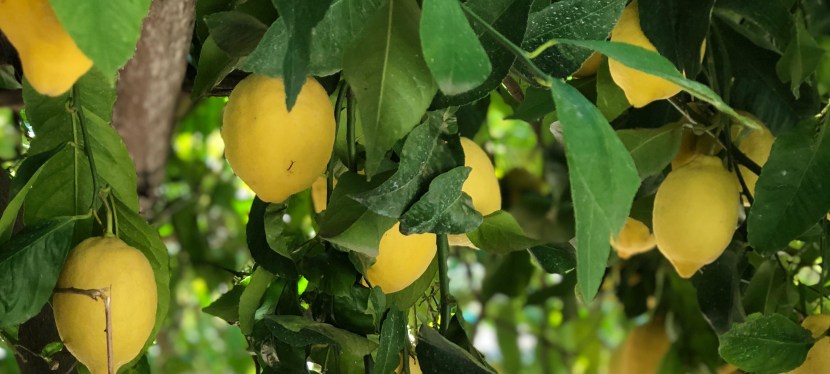 Campania – Amalfi Coast, Naples, Pompeii, and&nbsp;Ischia